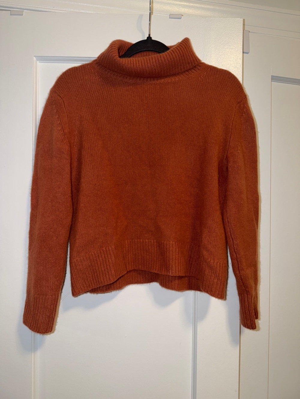 Wilfred Cropped Turtleneck Sweater in Burnt Orange
